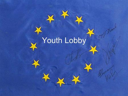 Youth Lobby. Lobbyist division in Brussels -Consultant Lobbyists-Consultant Lobbyists -In-House Company Lobbyists:-In-House Company Lobbyists: -In-House.