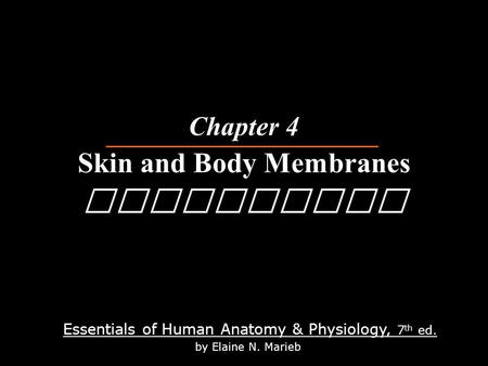 Essentials of Human Anatomy & Physiology, 7 th ed. by Elaine N. Marieb Chapter 4 Skin and Body Membranes Physiology.