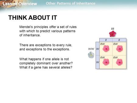 Lesson Overview Lesson Overview Other Patterns of Inheritance THINK ABOUT IT Mendel’s principles offer a set of rules with which to predict various patterns.