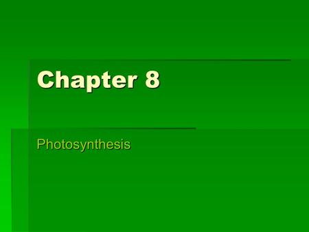 Chapter 8 Photosynthesis.