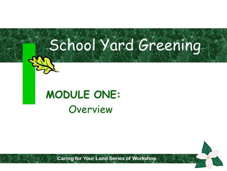 School Yard Greening MODULE ONE: Overview Caring for Your Land Series of Workshops Caring for Your Land Series of Workshop.