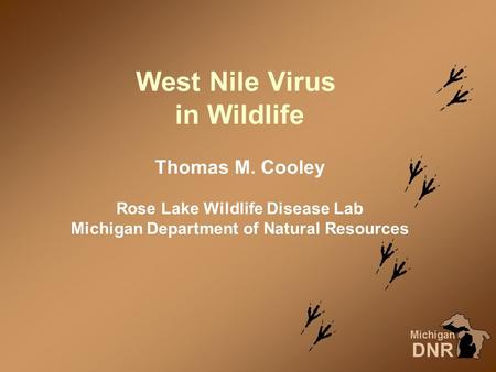 West Nile Virus in Wildlife Michigan DNR Thomas M. Cooley Rose Lake Wildlife Disease Lab Michigan Department of Natural Resources.