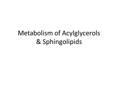 Metabolism of Acylglycerols & Sphingolipids