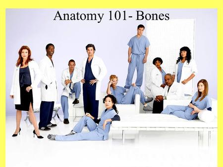 Anatomy 101- Bones. What do bones do? Protect vital organs Support the body Allow the body to move through muscle and tendon attachment. Provide attachment.