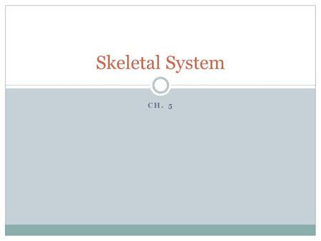 CH. 5 Skeletal System. Know the functions of the skeletal system 206 bones with 2 divisions.