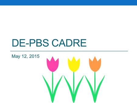 DE-PBS CADRE May 12, 2015. WEBSITE ORIENTATION www.delawarepbs.org.