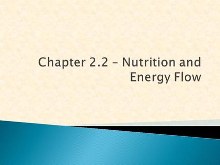 1.The ultimate source of energy for life is the SUN 2.Plants use the sun’s energy to manufacture food in a process known as PHOTOSYNTHESIS.