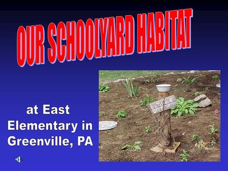 In the spring of 2000, we began creating our schoolyard habitat.