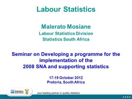 Labour Statistics Malerato Mosiane Labour Statistics Division Statistics South Africa Seminar on Developing a programme for the implementation of the 2008.