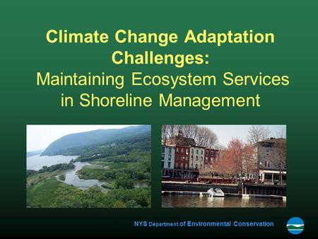 NYS Department of Environmental Conservation Climate Change Adaptation Challenges: Maintaining Ecosystem Services in Shoreline Management.