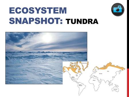 ECOSYSTEM SNAPSHOT: TUNDRA. FEATURED POPULATION: ARCTIC FOX.