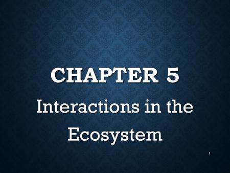 Interactions in the Ecosystem