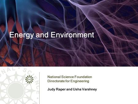 Energy and Environment National Science Foundation Directorate for Engineering Judy Raper and Usha Varshney.