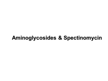 Aminoglycosides & Spectinomycin