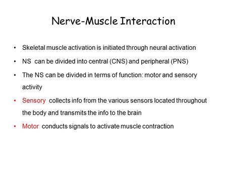 Nerve-Muscle Interaction Skeletal muscle activation is initiated through neural activation NS can be divided into central (CNS) and peripheral (PNS) The.