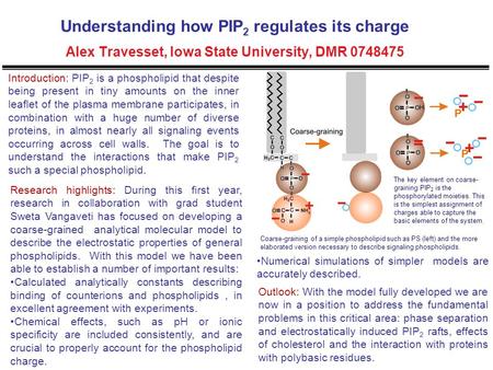 Understanding how PIP 2 regulates its charge Alex Travesset, Iowa State University, DMR 0748475 Introduction: PIP 2 is a phospholipid that despite being.