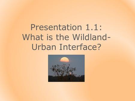 Presentation 1.1: What is the Wildland- Urban Interface?