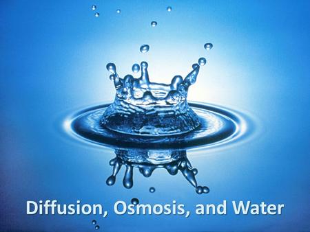 Diffusion, Osmosis, and Water