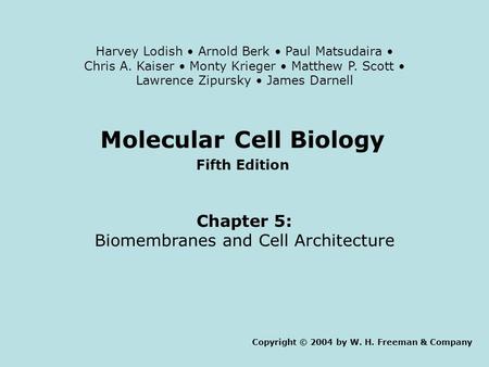 Molecular Cell Biology Fifth Edition Chapter 5: Biomembranes and Cell Architecture Copyright © 2004 by W. H. Freeman & Company Harvey Lodish Arnold Berk.