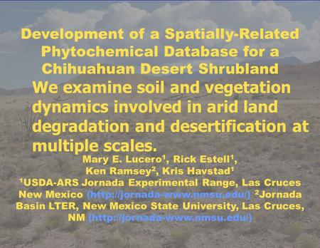 Development of a Spatially-Related Phytochemical Database for a Chihuahuan Desert Shrubland Mary E. Lucero 1, Rick Estell 1, Ken Ramsey 2, Kris Havstad.