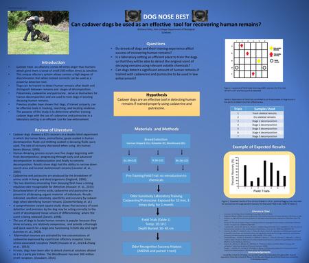 DOG NOSE BEST Can cadaver dogs be used as an effective tool for recovering human remains? Introduction Canines have an olfactory cortex 40 times larger.