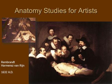 Anatomy Studies for Artists Rembrandt Harmensz van Rijn 1632 A.D.