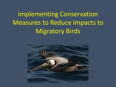 Implementing Conservation Measures to Reduce Impacts to Migratory Birds.