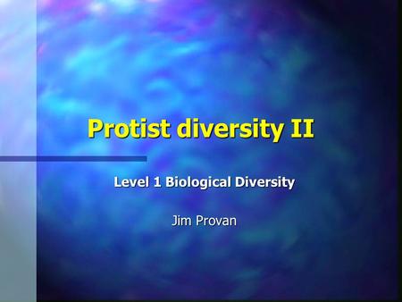 Protist diversity II Level 1 Biological Diversity Jim Provan.