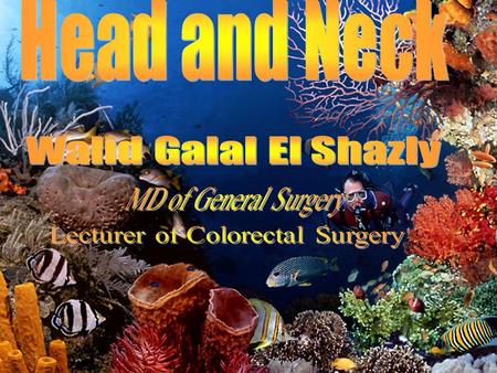 Head And Neck. Salivary gland Tumours Epithelial Epithelial Benign Benign Pleomorphic adenoma (Mixed parotid) Pleomorphic adenoma (Mixed parotid) Monomorphic.