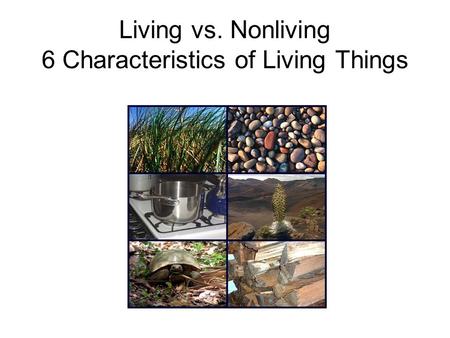 Living vs. Nonliving 6 Characteristics of Living Things.