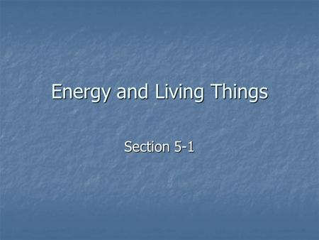 Energy and Living Things