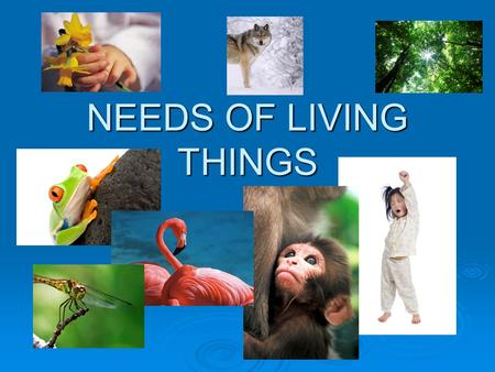 NEEDS OF LIVING THINGS.