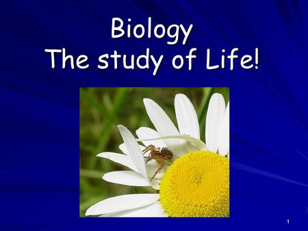 Biology The study of Life!