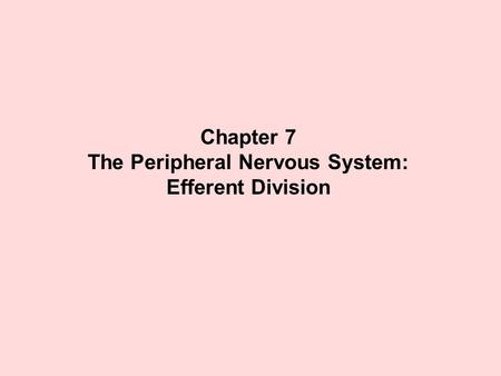 The Peripheral Nervous System: Efferent Division