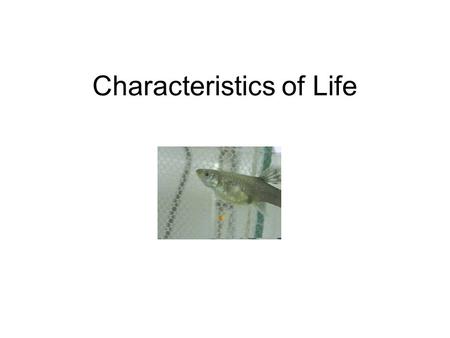 Characteristics of Life