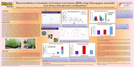 Phytoremediation of hexahydro-1,3,5-trinitro-1,3,5-triazine (RDX) using Chrysopogon zizanioides Claire Doskey 1, Dibyendu Sarkar 2, and Rupali Datta 1.