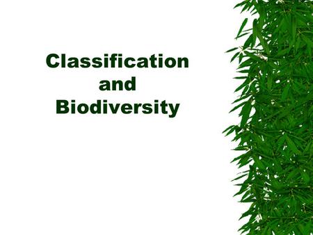 Classification and Biodiversity