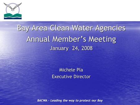 BACWA – Leading the way to protect our Bay Bay Area Clean Water Agencies Annual Member’s Meeting January 24, 2008 Michele Pla Executive Director.