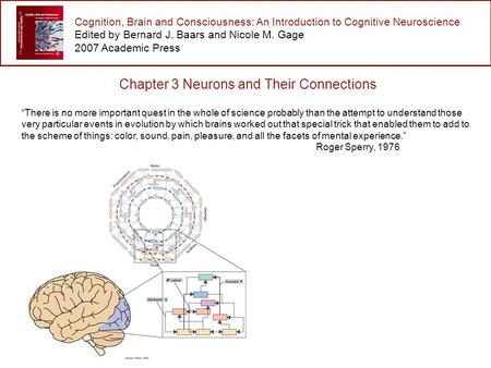 Cognition, Brain and Consciousness: An Introduction to Cognitive Neuroscience Edited by Bernard J. Baars and Nicole M. Gage 2007 Academic Press Chapter.