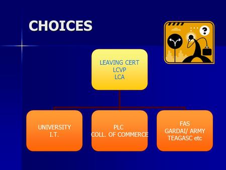 CHOICES LEAVING CERT LCVP LCA UNIVERSITY I.T. PLC COLL. OF COMMERCE FAS GARDAI/ ARMY TEAGASC etc.