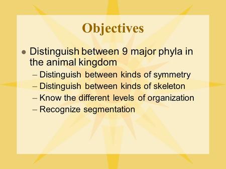 Objectives Distinguish between 9 major phyla in the animal kingdom –Distinguish between kinds of symmetry –Distinguish between kinds of skeleton –Know.