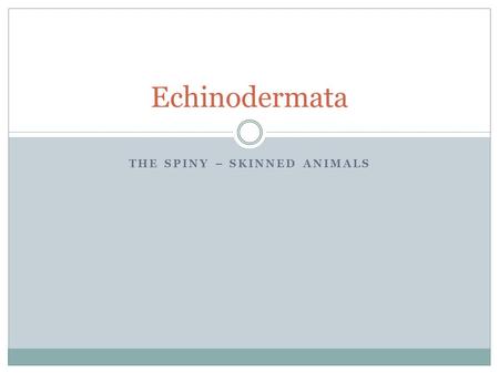 THE SPINY – SKINNED ANIMALS Echinodermata. Highlights Spines on skin Small phylum (only about 13,000 sp.) Totally aquatic (marine) Radial symmetry.