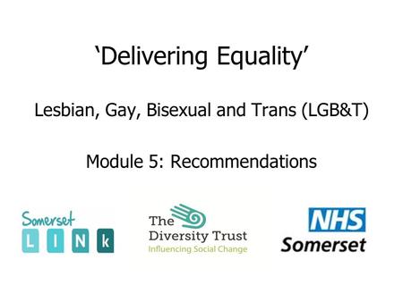 ‘Delivering Equality’ Lesbian, Gay, Bisexual and Trans (LGB&T) Module 5: Recommendations.