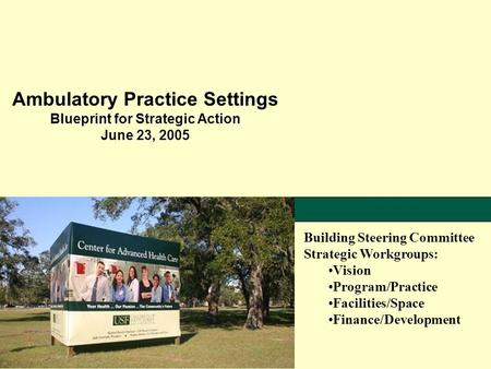 Ambulatory Practice Settings Blueprint for Strategic Action June 23, 2005 Building Steering Committee Strategic Workgroups: Vision Program/Practice Facilities/Space.