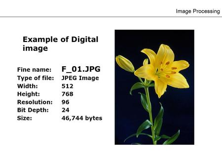 Image Processing Example of Digital image Fine name: F_01.JPG Type of file:JPEG Image Width: 512 Height:768 Resolution:96 Bit Depth:24 Size:46,744 bytes.