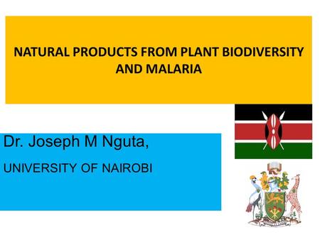 NATURAL PRODUCTS FROM PLANT BIODIVERSITY AND MALARIA Dr. Joseph M Nguta, UNIVERSITY OF NAIROBI.