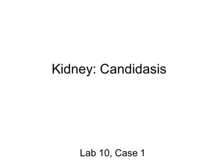 Kidney: Candidasis Lab 10, Case 1. Multifocal punctate lesions visible on the serosal surface (arrows) Don’t confuse these small yellow punctate lesions.