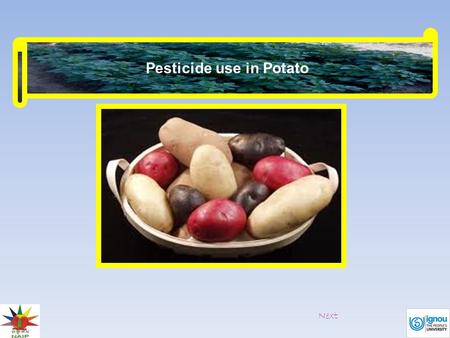 Pesticide use in Potato Next. Potato tuber moth Spray quinalphos 2 ml/litre to manage foliar damage caused by the larvae of the pest. Walls of.