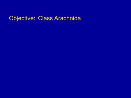 Objective: Class Arachnida. Arachnida Two body sections 1. cephalothorax: fused head and thorax 2. abdomen 4 pairs of legs.