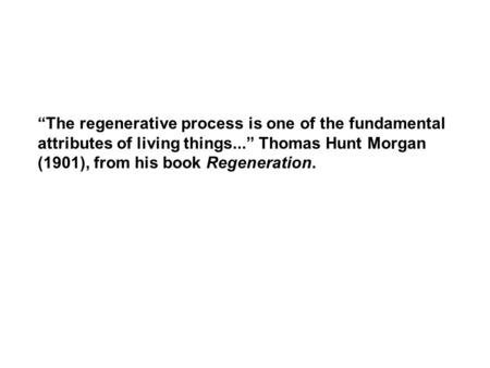 “The regenerative process is one of the fundamental attributes of living things...” Thomas Hunt Morgan (1901), from his book Regeneration.